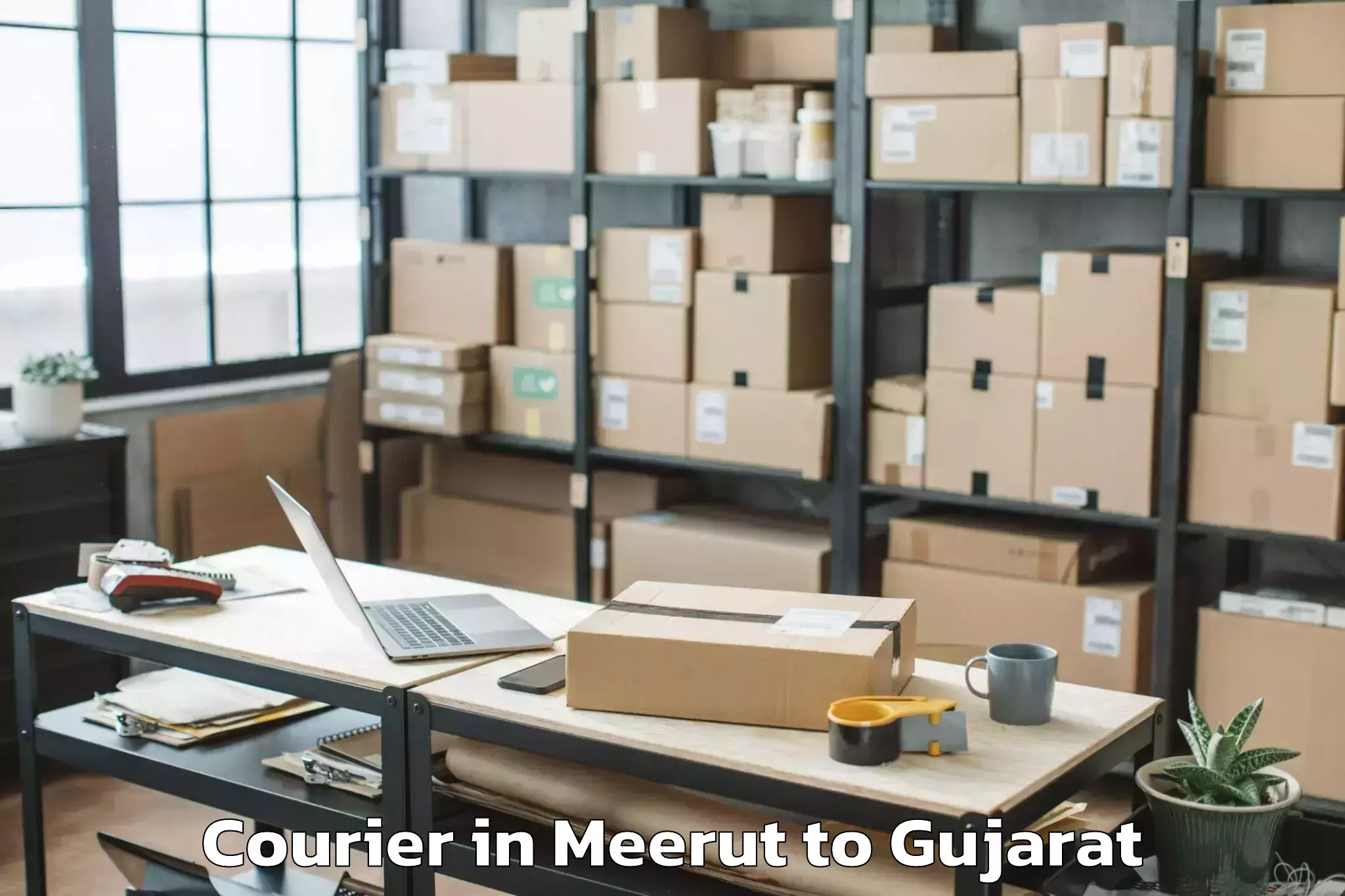 Leading Meerut to Gls University Ahmedabad Courier Provider